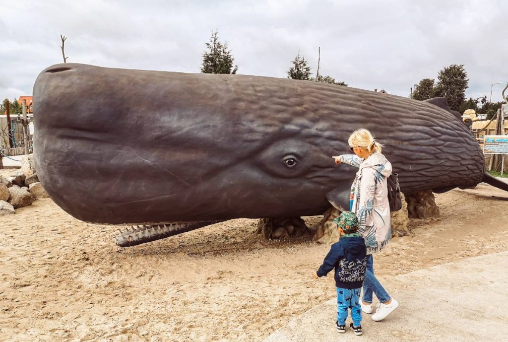Park Wieloryba płetwal błękitny