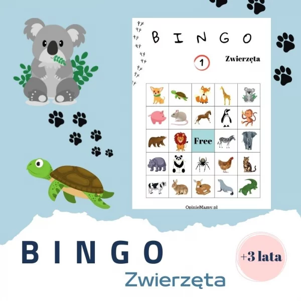 Bingo zwierzęta plakat